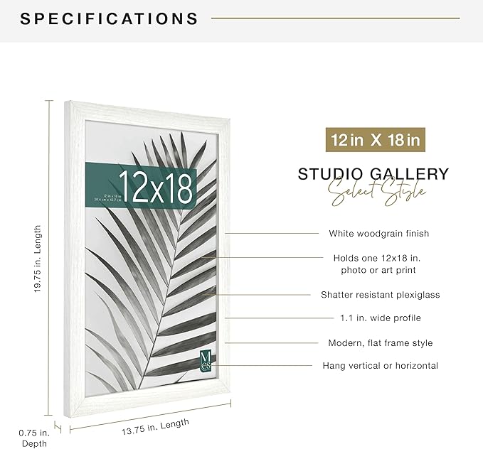 MCS Studio Gallery 12x18 Picture Frame White Woodgrain Engineered Wood, Rectangle Photo Frame for Photos, Posters & Art Prints (1-Pack)