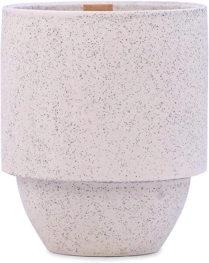 Paddywax Parks, Glacier Scented Candle in Reusable Ceramic Jar with Crackling Wood Wick, Soy Candle with Approx. 77 Hour Burn Time, Decorative Gift Candles for Home, White Pine & Hemlock Scent, 11 oz