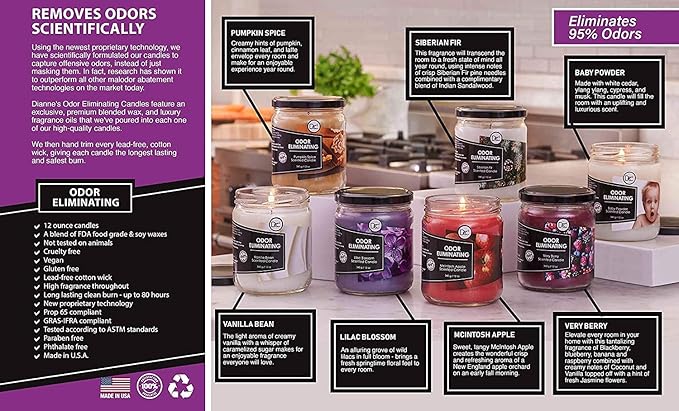 Vetiver Odor Eliminating Highly Fragranced Candle - Eliminates 95% of Pet, Smoke, Food, and Other Smells Quickly - Up to 80 Hour Burn time - 12 Ounce Premium Soy Blend