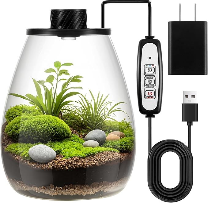 Maxdot Glass Plant Terrarium Kit with LED Grow Light, Desk Terrarium for Venus Fly Trap, Succulents, Moss & Miniature Garden, Borosilicate Glass Desktop Planter for Home Office(6.9 x 7.8 Inch)