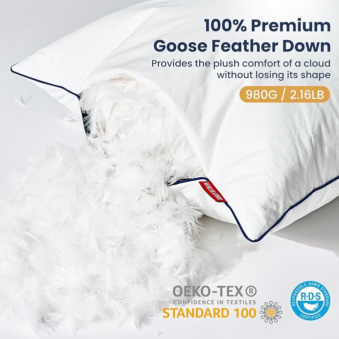 Down Pillow Inserts 20x20, Set of 2, 100% Goose Down Feather Throw Pillows Inserts, Triple-Layer Downproof, Decorative Pillow Insert with Soft Cotton Cover for Couch,Sofa,Bed,Living Room