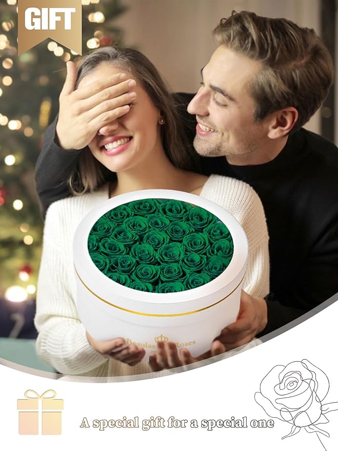 27 Preserved Roses Forever Flowers Real Roses in a Box Mother's Day Birthday Flowers for Her Mom Women Wife Valentine's Day, Green Roses