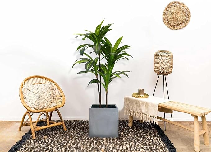 Aveyas 4ft Artificial Dracaena Tree for Home Decor, 4 Feet Real Touch Large Faux Plant Fake Silk Floor Trees with Pot for Indoor Outdoor House Living Room Office (4 ft Tall)
