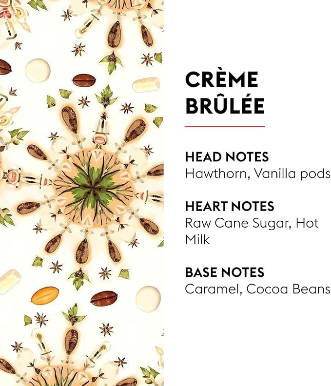 Maison Berger Crème Brûlée Lampe Berger Refill, 500 ml (16.9 fl oz), 2-in-1 Catalytic System, Neutralizes Odors and Diffuses Fragrance, Vanilla, Caramel Notes, Made in France