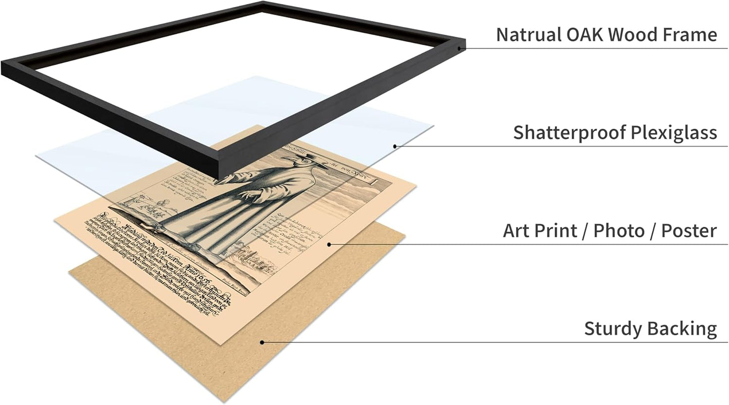 Poster Master Vintage Medieval Poster - Retro Illustration Print - Gift for Friend - Plague Doctor, Pandemic Mask, Physician, Black Death - Wall Decor for Home, Living Room, 8x10 Black Framed