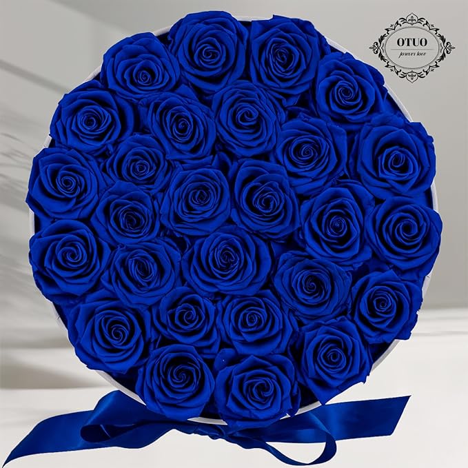 27 Piece Preserved Roses in a Box - Forever Flowers for Delivery Prime, Eternal Roses Mothers Gifts for Mom, Valentine's Day, Wife Anniversary Birthday Gifts for Women(Blue)