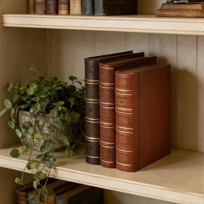 Guichifun Decorative Books Home Decor Accents - Resin Retro Classical Fake Books Faux Books Decoration Gifts for Men Coffee Table Shelf Decor for Living Room Decor 7.8 * 4.7 * 11 Inch