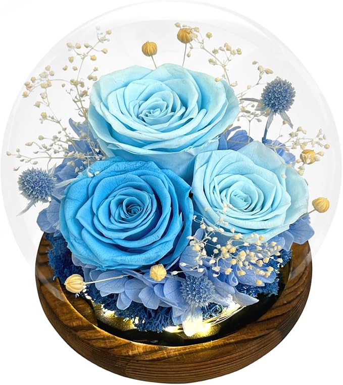 FIACO Gifts for Mom Mother Day Preserved Flowers in Glass Dome Long-Lasting Eternal Roses Birthday Gifts for Women Grandma Wife Girlfriend Her Girlfriend Forever Flowers for Delivery Prime Blue
