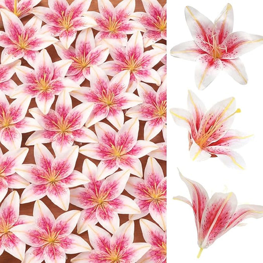 SNAIL GARDEN 24PCS 5.5" Large Fake Lilies Flower Heads with Realistic Stamens,24PCS Pink Artificial Flower Heads, Bulk Silk Flowers for Crafts, Cake Decorating, Wedding Party Wreath, Home Decor