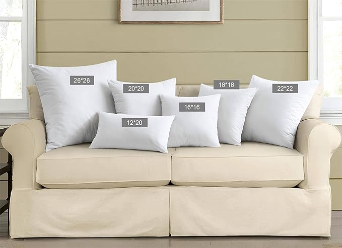 puredown® 16x16 Feathers Down Pillow Inserts, Set of 2 Square Decorative Throw Pillow Inserts for Couch, Bed Decor