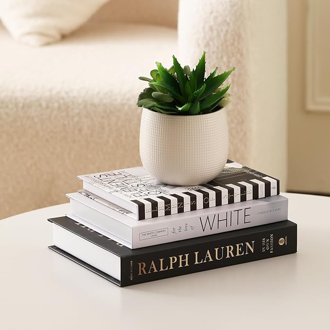 Set of 3 Decorative Books for Home Decor,Stylish Fake Books for Decoration, Aesthetic Decor Books Set for Coffee Table,Bookshelf,Mantel,Living Room,Hotel,Villa Decor,Storage Box for Photos