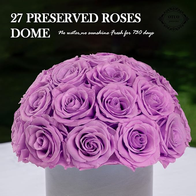 27 Preserved Roses in Round Dome Shape, Mother's Day Real Forever Flowers Rose Box, Eternal Rose Gift for Her Women Girl Friend Wife, Flower Gift for Valentines Day(Purple)