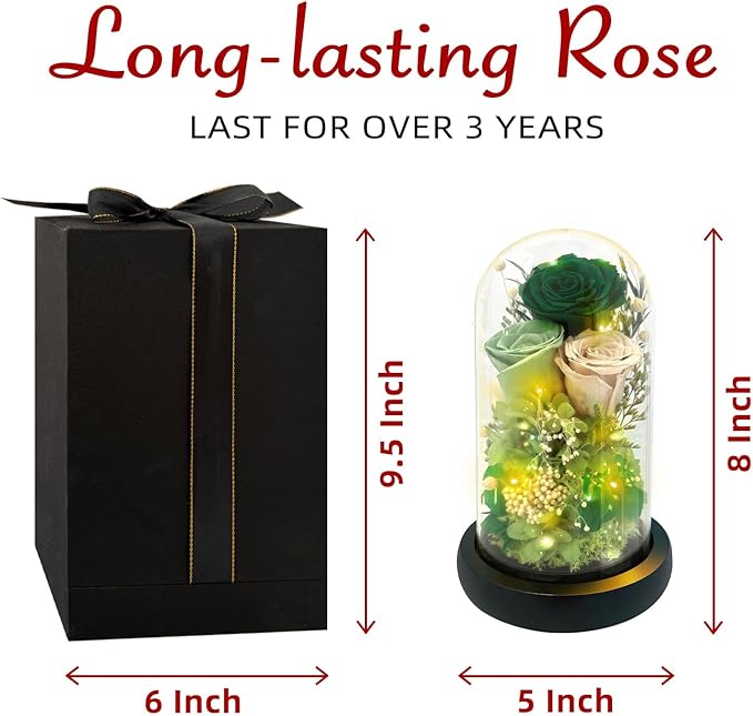 HipTree Preserved Morandi Green Rose in Glass Dome with LED Lights - Forever Eternal Rose Gifts for Women, Valentines Day Mothers Day Birthday Christmas Wedding Anniversary for Mom Wife Girlfriend
