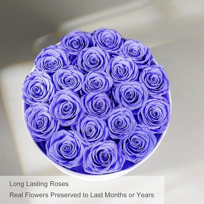 Gifts for Women Preserved Roses Flower Box, Luxury Velvet Box with 20 Roses, Preserved Flowers, Romantic Gift for Her, Wife, Girlfriend, Birthday Anniversary Christmas (Light Purple)