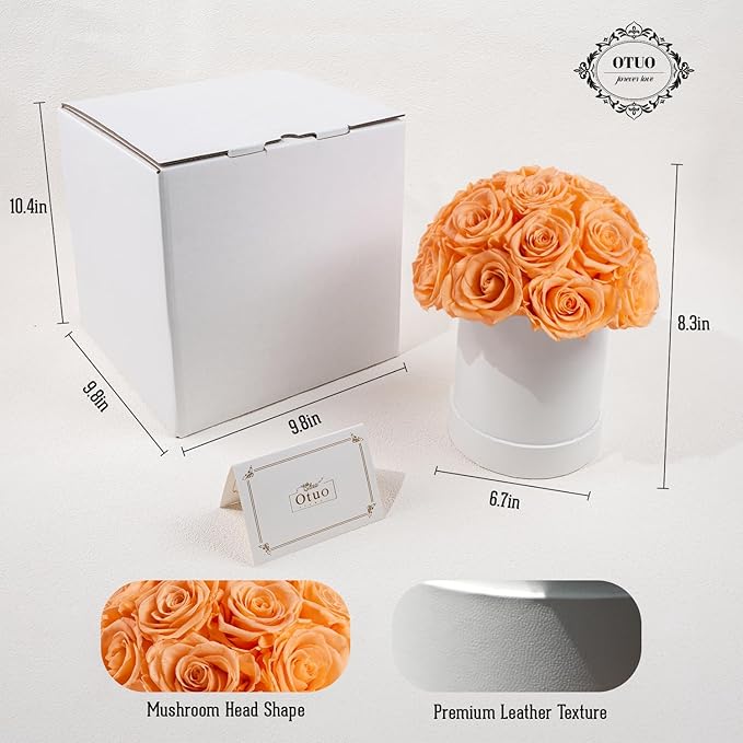 18 Preserved Roses in Round Dome Shape, Mother's Day Real Forever Flowers Rose Box, Eternal Rose Gift for Her Women Girl Friend Wife, Flower Gift for Valentines Day(Champagne)