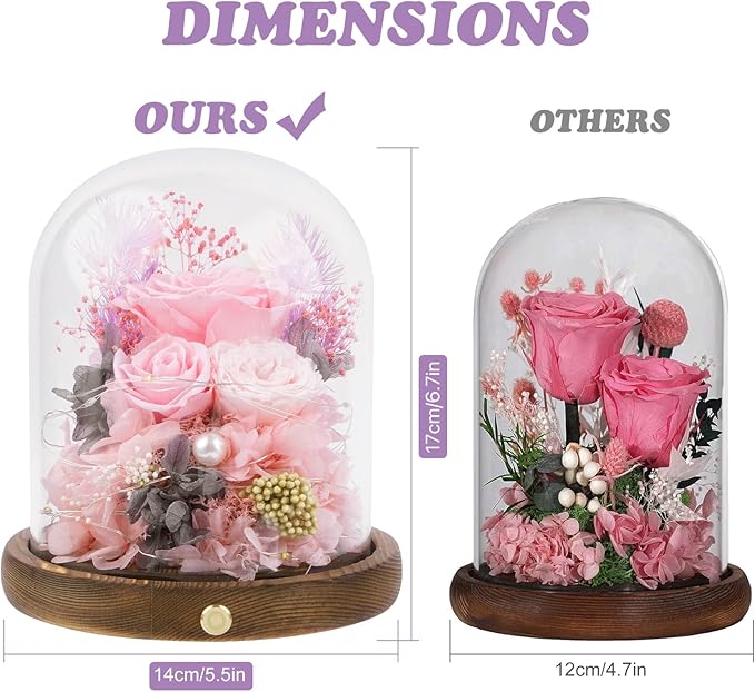 Large Preserved Flowers with Card&Box-Flowers for Delivery Prime,Eternal Rose with Lights,Roses in Glass Dome,Romantic Gift for Her,Decoration,Fresh Rose Flowers for Mom, Birthday, Anniversary (Pink)