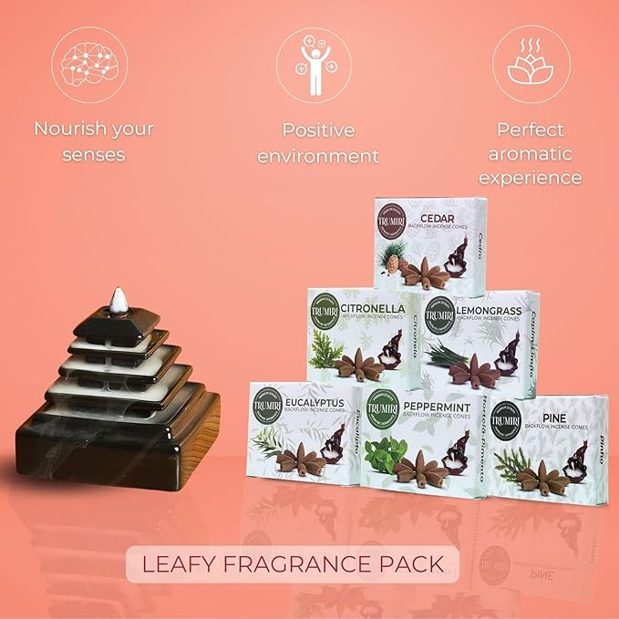 Leafy - Backflow Incense Cones for Waterfall - Scented Inscents-Cones - Peppermint, Citronella, Pine, Cedar, Eucalyptus, Lemongrass - Insiensos Aromaticos - 6x10=60 Large Variety Pack