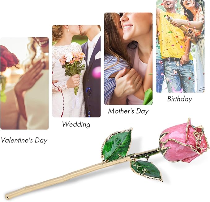 Gold Dipped Rose, 24k Golden Plated Real Rose Forever Preserved Rose Flower Gift for Wife Mother Girlfriend Her