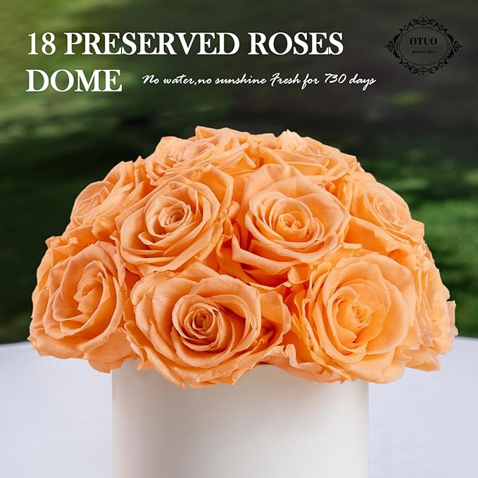 18 Preserved Roses in Round Dome Shape, Mother's Day Real Forever Flowers Rose Box, Eternal Rose Gift for Her Women Girl Friend Wife, Flower Gift for Valentines Day(Champagne)