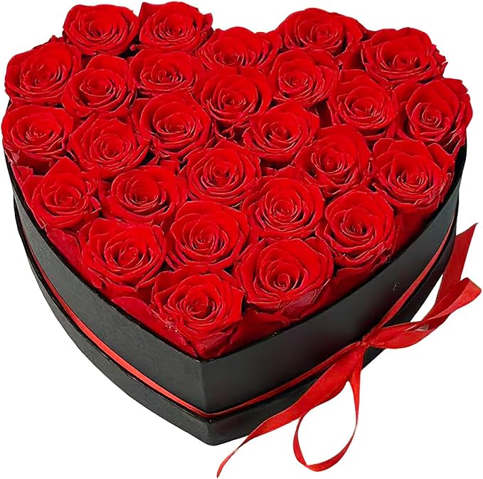 Preserved Roses Heart Shape Box Valentines Day Gifts for Her Mothers Day Forever Flowers (Red, 27 Roses)