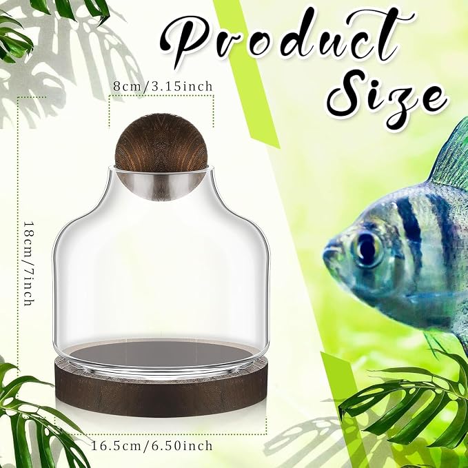 1 Pcs Glass Terrarium Container with Wooden Base and Decorative Ball Lid, 7 Inch DIY Terrarium Jar for Moss, Ferns, Air Plants and Succulents, Mini Indoor Garden Vase for Home Office Desk Decor