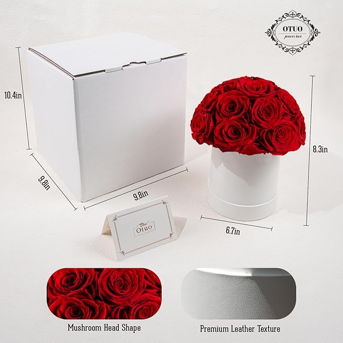 18 Preserved Roses in Round Dome Shape, Mother's Day Real Forever Flowers Rose Box, Eternal Rose Gift for Her Women Girl Friend Wife, Flower Gift for Valentines Day(Red)