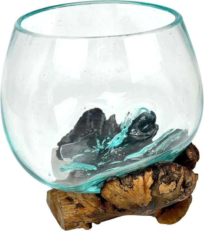 Decorative Vase, 5 Inch Melted Glass on Gamal Root Wood | Clear Bowl Shaped Over Organic Base, Each Piece Varies, For Succulents, Air Plants, Terrariums