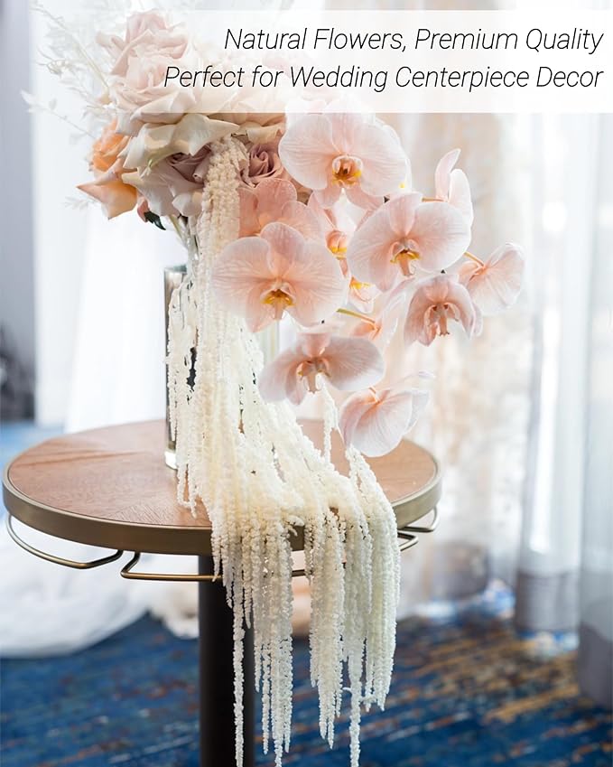 20Pcs Preserved Hanging Amaranthus Flowers - Ivory White 23"-27" Extra Full Cascading Dried Florals for Wedding Decor, Arch Installations, Vase Filler, Home Styling