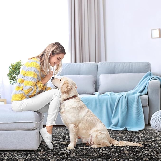 Ruaruarug Washable Area Rug 5x7 for Living Room, Bedroom, Ultra Soft Non Slip Stain & Fade Resistant, Pet & Kids Friendly, Suitable for High Traffic Areas Easy to Clean for Office Kitchen, Black Gray