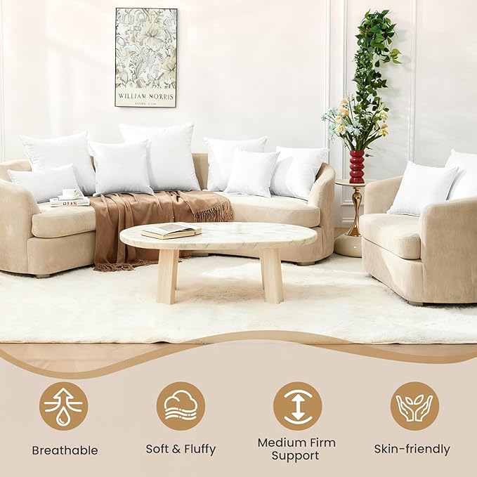 BHZ Euro Throw Pillow Inserts, 26x26 Down Feather Alternative Pillow Inserts Set of 2, Decorative Soft Large Square White Throw Pillows Insert for Couch Bed Dorm Sofa with Breathable Cover