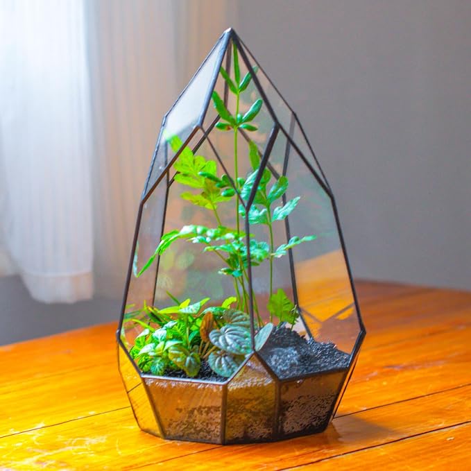 NCYP No Door Glass Geometric Terrarium Planter for Succulent Plants, Fern, Balcony Display Pot - Black Miniature Botanical Garden, Large (Terrarium Only) 12.2" Height, 7.1" Width