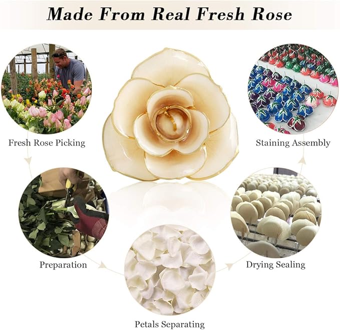 Ejoyous 24K Gold Rose, Forever Preserved Real Rose Lover Mom Wife Daughter Girl Friend, Unique Present on Valentines Day, Wedding Anniversary, Birthday, Proposal, Reward (Ivory