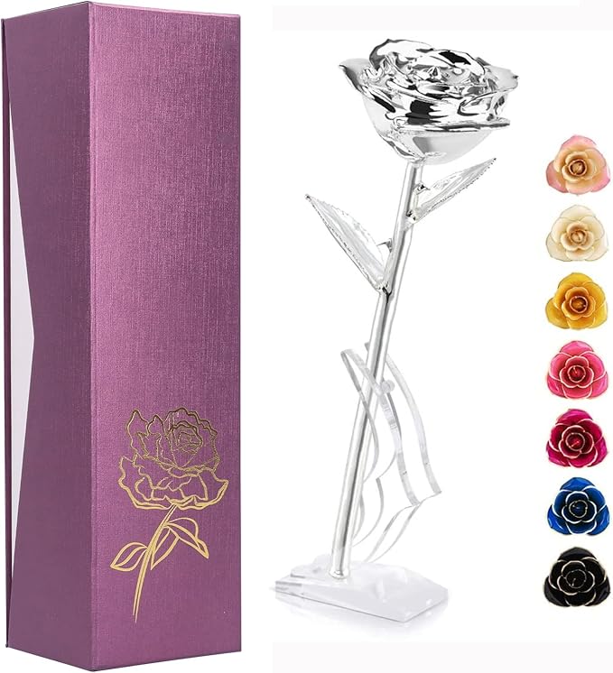 Ejoyous Silver Plated Real Rose Long Stem Forever Preserved Rose Flower for Her Women Wife Mother Girlfriend on Mothers Day Valentine's Day 25th 50th Anniversary Birthday