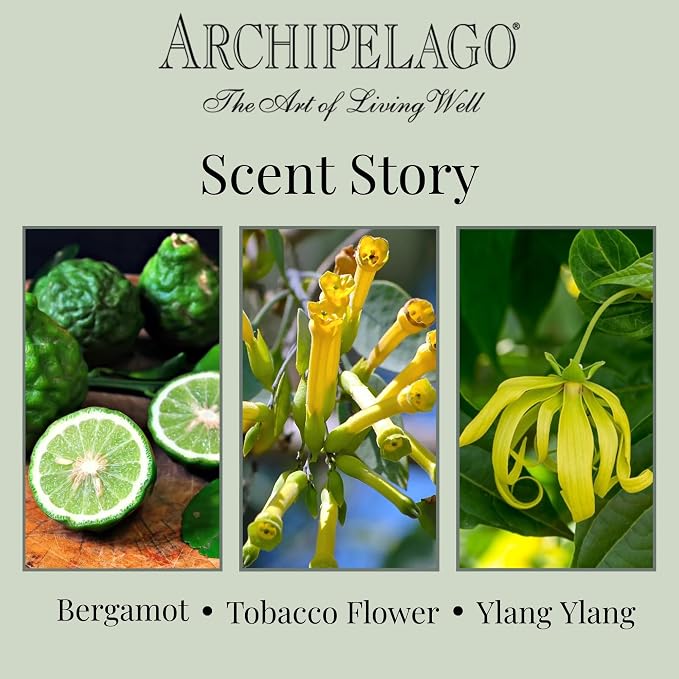 Archipelago Botanicals Havana Glass Jar Candle, Bergamot, Tobacco Flower and Ylang Scent, Lead-Free Candle Wicks, Burns Approx. 60 Hours (8.6 oz) (Pack of 2)