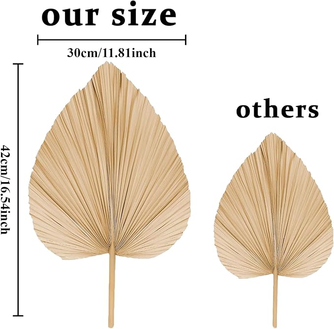 Natural Dried Palm Leaves, 17.3 Inch, 10 Pieces, Beige and Brown, for Wedding Decor and Centerpieces (Brown)
