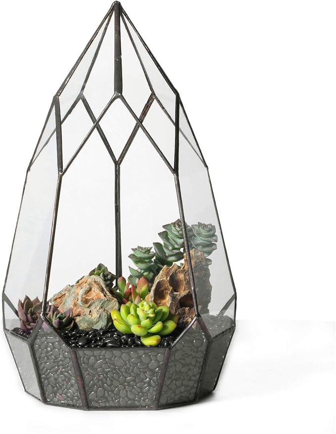 NCYP No Door Glass Geometric Terrarium Planter for Succulent Plants, Fern, Balcony Display Pot - Black Miniature Botanical Garden, Large (Terrarium Only) 12.2" Height, 7.1" Width