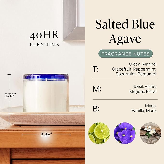 Paddywax La Playa, Salted Blue Agave Scented Candle in Reusable Hand-Blown Bubble Glass, Soy Wax Candle with Approx. 40 Hour Burn Time, Decorative Gift Candle for Home, Salted Blue Agave, 9 oz