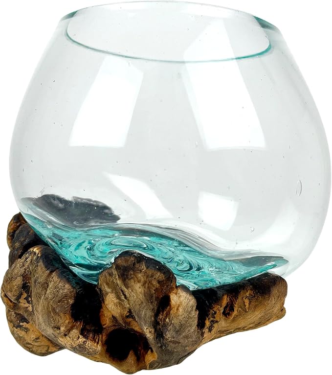 Decorative Vase, 5 Inch Melted Glass on Gamal Root Wood | Clear Bowl Shaped Over Organic Base, Each Piece Varies, For Succulents, Air Plants, Terrariums