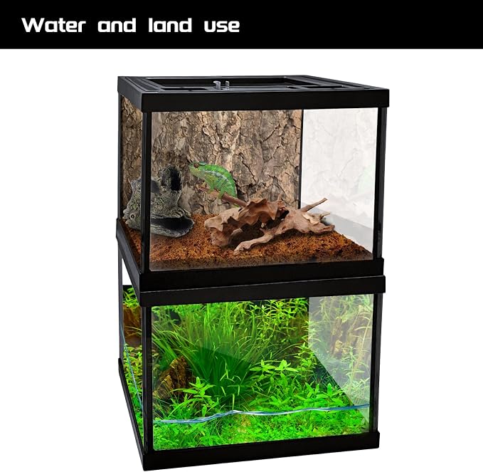 Mini Reptile Glass Terrarium Tank 8 * 8 * 6" Full View, Amphibians Habitat Enclosure Cage for Frog,Spiders,Dubia Cockroach,Praying Mantis,Cricket,Tarantula,Hermit Crab
