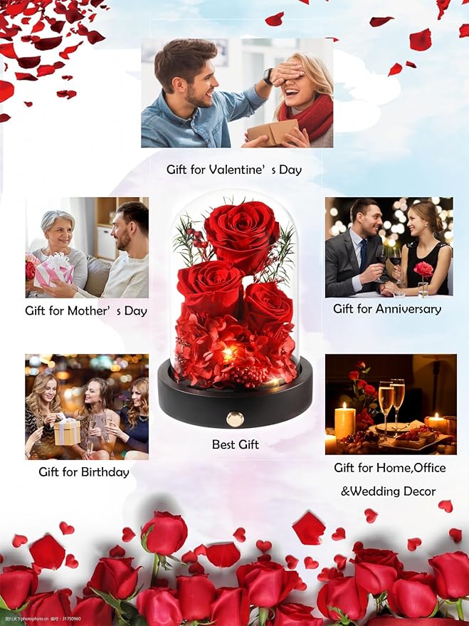 Preserved Flowers in Glass Dome with LED,Red Roses for Delivery, Valentines Day Gifts for Women Her Wife Mom on Mothers Day, Anniverysary, Birthday