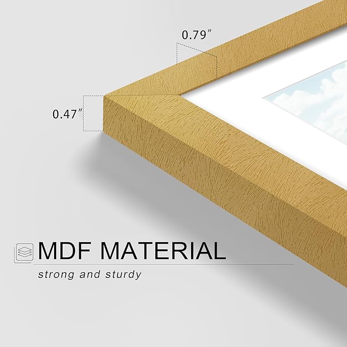 Picrit 12x16 Picture Frame Set of 12, Display 8.5x11 with Mat or 12x16 without Mat, Photo Frames for Wall Mounting Display, Gold