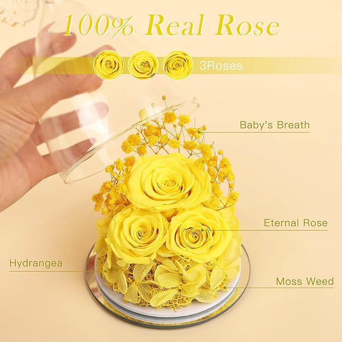 Flowers for Delivery Gifts for Mom Mothers Day Birthday Gifts for Women Grandma Fresh Preserved Flowers Forever Real Roses in Glass Angel Figurines Anniversary Present for Wife Her Friends Daughter