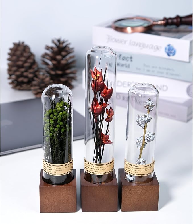 3Pcs Dried Flower Decor,Knick Knacks for Shelves,Cool Stuff for Bookshelf,Small Plants Decor for Office Shelves,Natural Green Plants Boho Shelf Decor,Apothecary Decor,Unique Gifts for Women,Friends