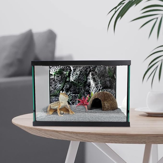 Reptile Glass Terrarium Tank 12 * 12 * 8" Full View with Top Ventilation, Amphibians Habitat Enclosure Cage for Frog,Spiders,Dubia Cockroach,Praying Mantis,Cricket,Tarantula,Hermit Crab