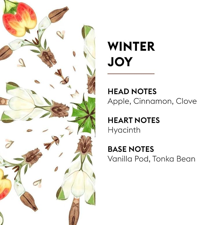 MAISON BERGER Winter Joy Lampe Berger Refill, 500 ml (16.9 fl oz), 2-in-1 Catalytic System, Neutralizes Odors and Diffuses Fragrance, Apple, Cinnamon, Made in France