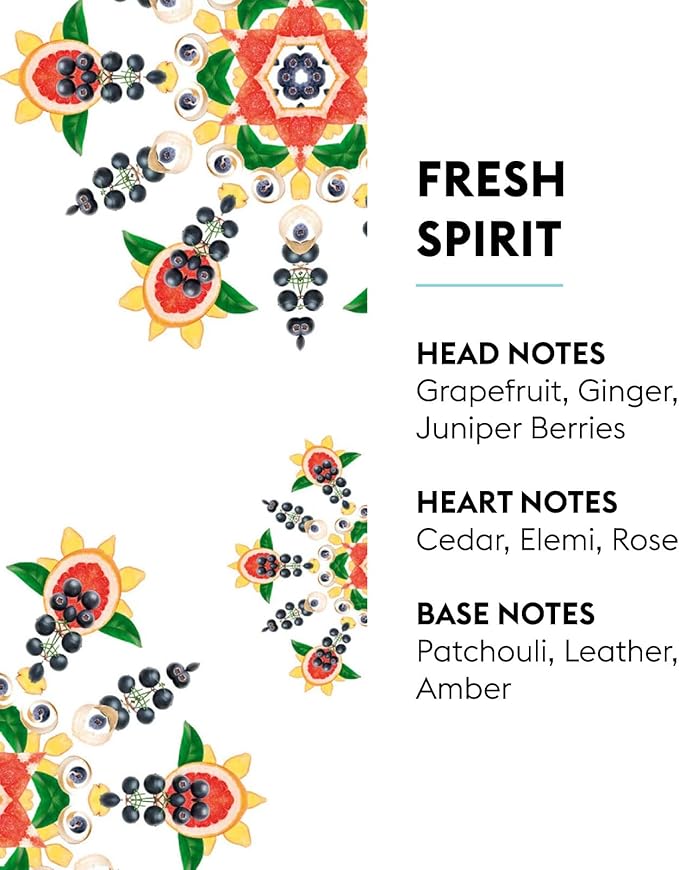 MAISON BERGER Fresh Spirit Lampe Berger Refill, 500 ml (16.9 fl oz), 2-in-1 Catalytic System, Neutralizes Odors and Diffuses Fragrance, Grapefruit, Ginger, Cedarwood, Made in France