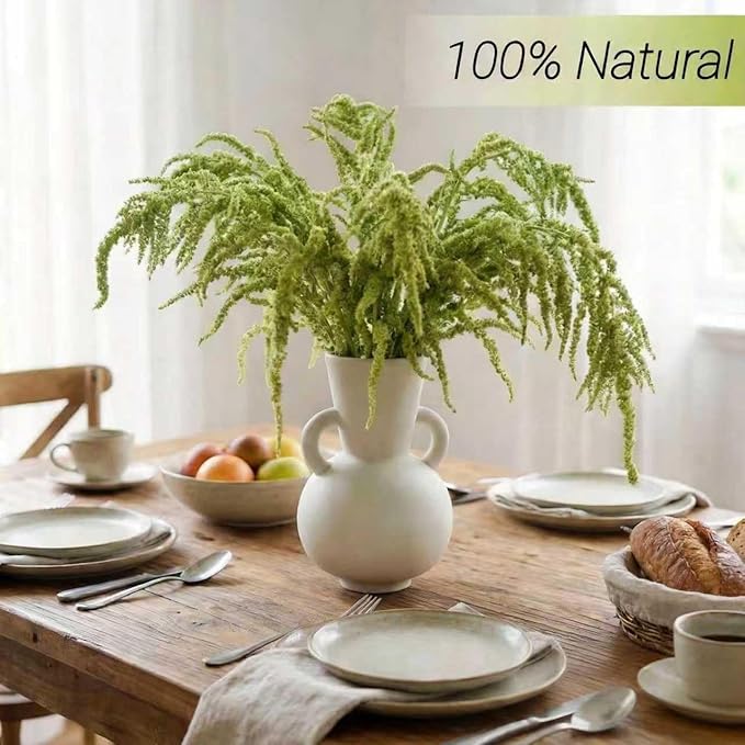 Silva Loup 24pcs Natural Dried Wisteria Hanging Flowers 30" - Bleached Green Vine for Wedding Bouquets, Wall Decor | Shedding Note & Mess-Free Use Tips Included