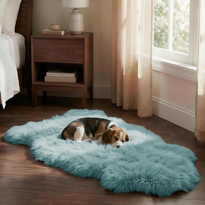 Premium Genuine Sheepskin Area Ruge - Real Wool Fur Shaggy Carpet | Fluffy Soft Natural Lambskin Rug Seat Chair Covers for Couch Sofa Bedroom Living Room(Light Blue,2×3 Feet Sheepskin)