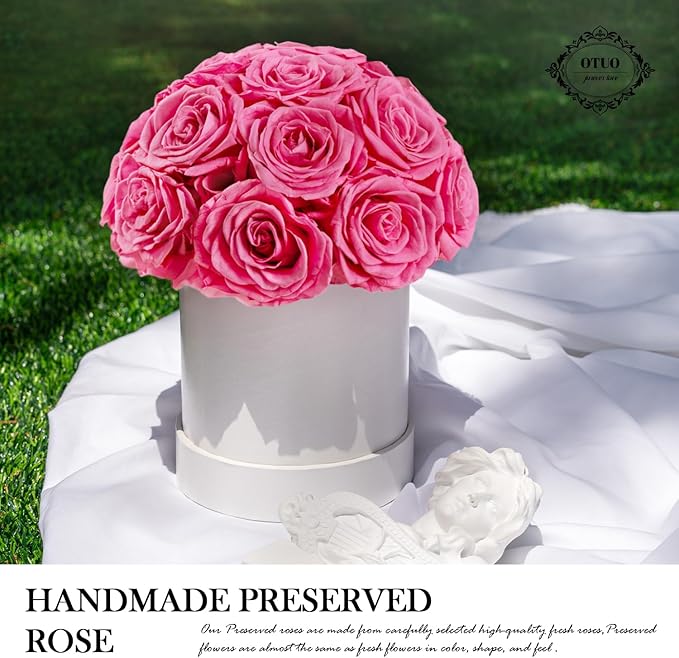 18 Preserved Roses in Round Dome Shape, Mother's Day Real Forever Flowers Rose Box, Eternal Rose Gift for Her Women Girl Friend Wife, Flower Gift for Valentines Day(Pink)