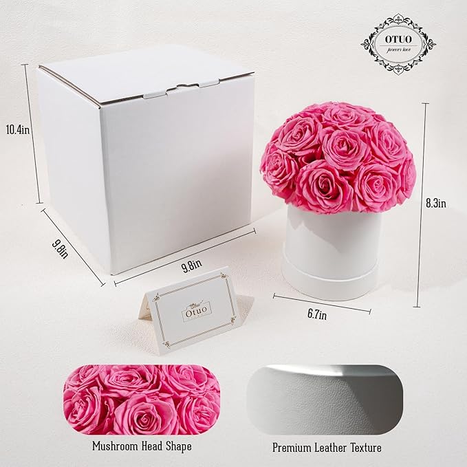 18 Preserved Roses in Round Dome Shape, Mother's Day Real Forever Flowers Rose Box, Eternal Rose Gift for Her Women Girl Friend Wife, Flower Gift for Valentines Day(Pink)